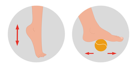 Special exercise for food deformation problem. Orthopedist Therapeutic and strengthening foot with tennis ball and up and down movements