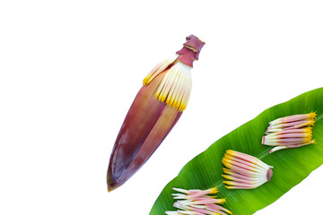 Blossom of banana tree, Banana flower