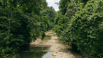 Fototapeta na wymiar river trekking in the forest