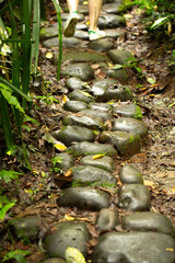 stepping stones on a forest trail with a person walking away