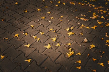 A brick walkway with leaves scattered across it