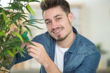 portrait of young man caring for houseplant - obrazy, fototapety, plakaty