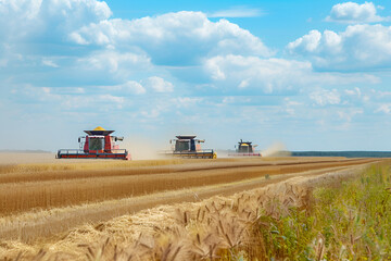 Harvesters work in the field harvesting wheat. Agricultural industry.