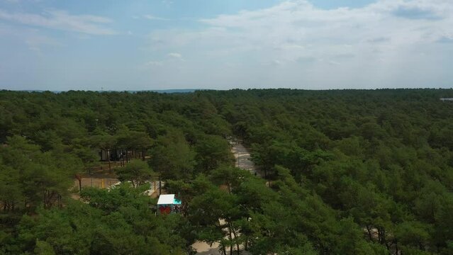 Beautiful Forest Rowy Las Plaza Aerial View Poland