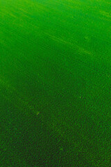 aerial view of the green field