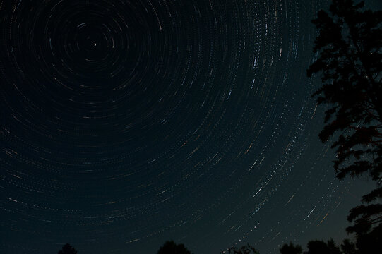 interrupted circumpolar star trails in black night sky with  silhouetted trees 