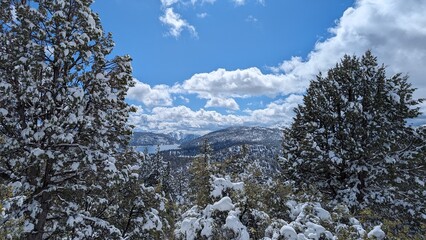 Big Bear Lake Hike on a Snowy Day