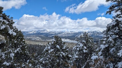 Big Bear Lake Hike, Snowy Day