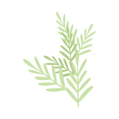 Fototapeta premium 5 Hand drawn spring flower on white background