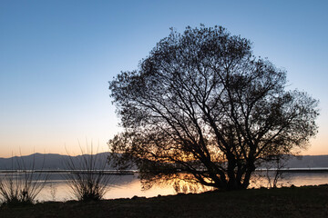 琵琶湖畔の夕暮れ　滋賀県草津市