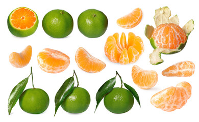Fresh ripe tangerines with green peel isolated on white, set