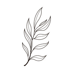 Hand drawn tree leaf twig floral element illustration