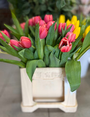 Bouquet of colorful tulip buds. Red and yellow tulip flowers in a decorative flower pot.
