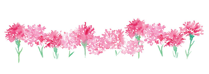 水彩画。水彩タッチのカーネーションベクターイラスト。母の日のカーネーションイラスト。Watercolor painting. Carnation vector illustration with watercolor touch. Mother's day carnation illustration.