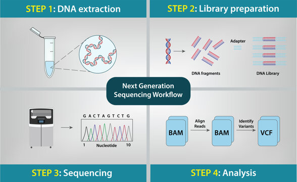 Next Generation Sequencing NGS
