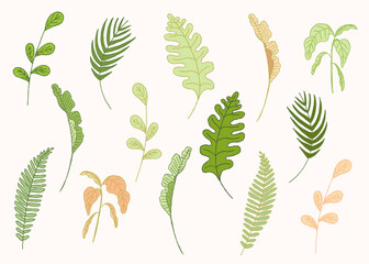 Tropical Leaves Vector Set – Monstera, Palm, Exotic Jungle Plants, Botanical Summer Foliage