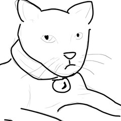 Sketch of cat