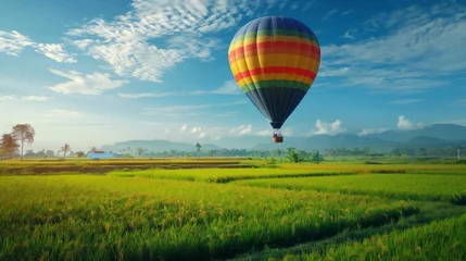 Foto op Canvas hot air balloon over the green paddy field. Composition of nature and blue sky background © chanidapa