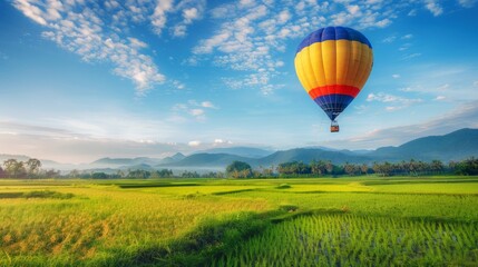 hot air balloon over the green paddy field. Composition of nature and blue sky background