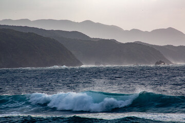 奄美、海、波、自然