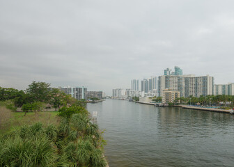 Miami summer view in the city - 781721282