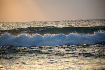 奄美、海、波、自然、