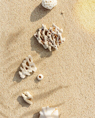 Seashells and corals on sandy beach. Trend minimal photo at sunlight, palm leaf shadow. Summer vacation concept, beach mood. Nautical design. Top view nature aesthetics still life. Beige Pastel tones