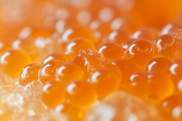 macro photo of red caviar