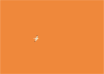 夕暮れに1羽のカモメが飛ぶイラスト