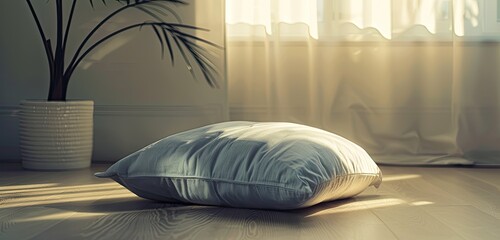 Daytime tranquility, a pristine gray pillow against muted tones