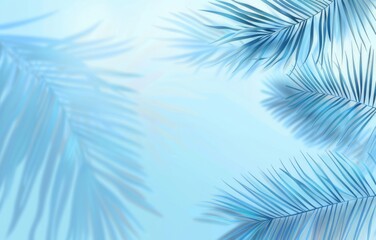 Light blue background with palm shadows