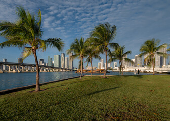 Miami summer view in the city - 781739075