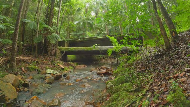 Old Wooden Bridge, With Flowing Creek Underneath. Main Roadway Bridge To Mt Warning.
