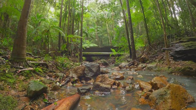 Low Angle View Of Old Wooden Bridge Over Flowing River, Mount Jerusalem National Park.