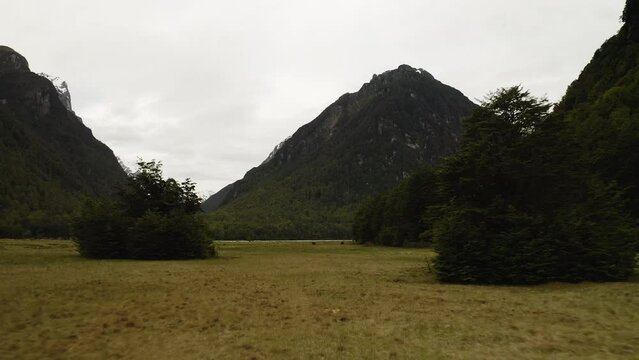 Flying over grassy plains towards the Dart River as it meanders through the valley. Paradise, New Zealand.