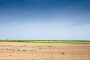 Panorama of an Agricultural landscape, a plowed field in the Serbian countryside, in Voivodina, between surduk & slankamen in spring. The plough & technique used in agriculture to fertilize a land.
