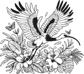 Giant ibis Cartoon Bird Flying, Coloring Book Design, Black and White Vector