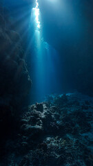 Underwater photo of magic sunlight and holy grail inside a cave