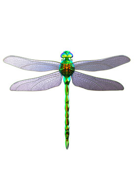 metal dragonfly 3d rendering illustration
