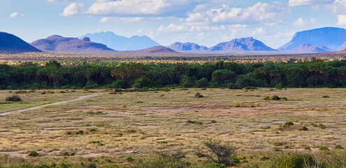 Wide angle view of the vast Samburu ecosystem with the savanna and hills in the distance providing...