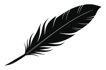 black-real-feather-on-white-background-vector  illus.eps