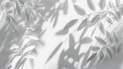 Elegant Natural Shadow of Leaves on White Textured Background