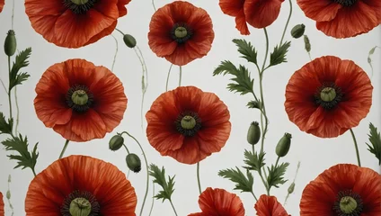 Foto op Plexiglas red poppy flowers white background © zia