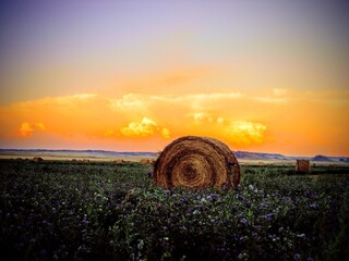 An Epic Sunset over a Montana Alfalfa Field