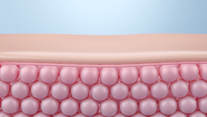 Layered skin and collagen on blue science background