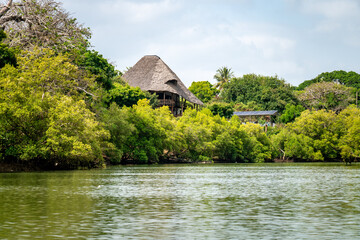 coast of the Congo river with green trees and houses with traditional African thatched roofs....