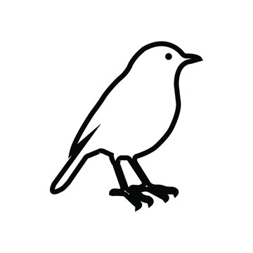recommend clip art: Robin bird hand draw line art