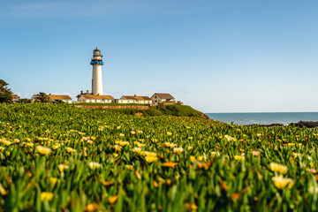 Beautiful view of the coast with yellow flowers and Pigeon Point Lighthouse, California