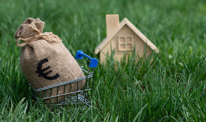 Money bag with euro symbol in shopping cart from supermarket and symbolic wooden house on grass...