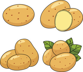 Potato Vegetable Vector Outline Illustration